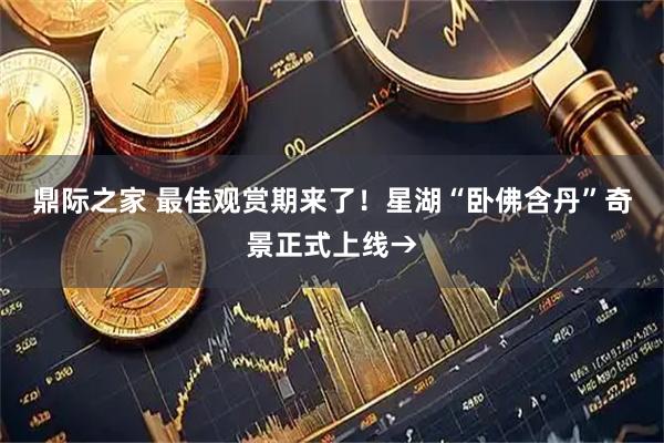 鼎际之家 最佳观赏期来了！星湖“卧佛含丹”奇景正式上线→