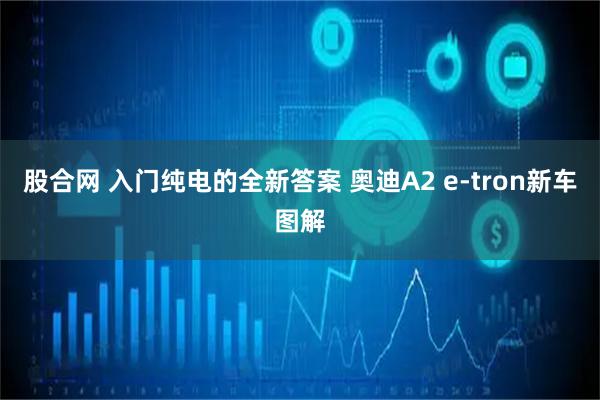 股合网 入门纯电的全新答案 奥迪A2 e-tron新车图解
