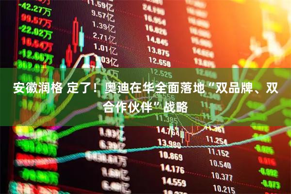 安徽润格 定了!奥迪在华全面落地“双品牌、双合作伙伴”战略